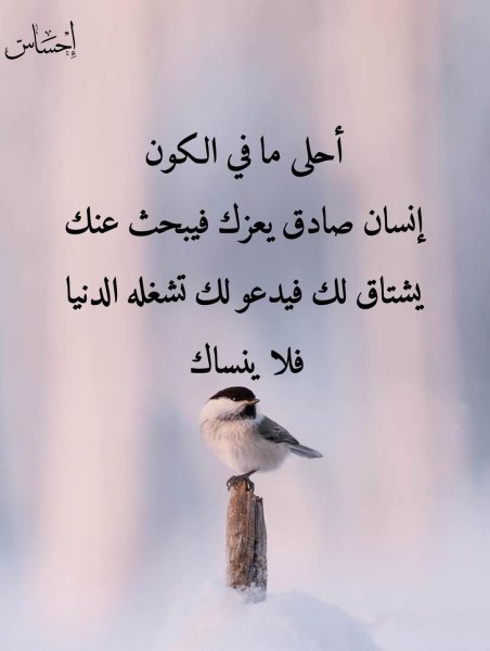 FB_IMG_1743932004947.jpg