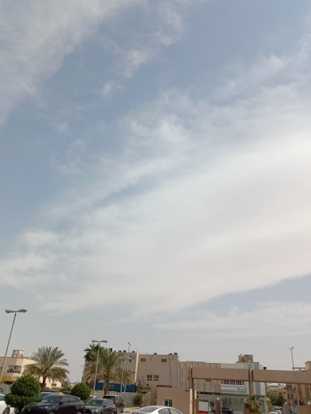IMG_20250406_142221.jpg