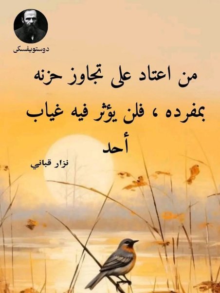 FB_IMG_1743981342137.jpg