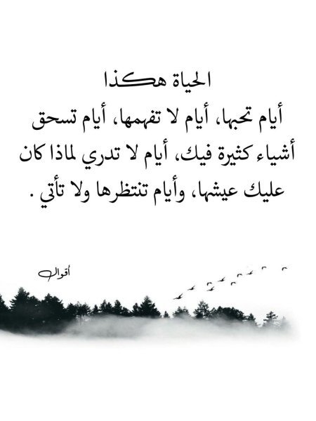 FB_IMG_1743927064029.jpg