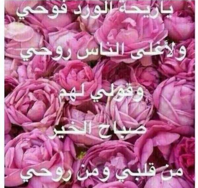 ٢٠٢٤١٠٠٧_٢٣٢٩١٥.jpg
