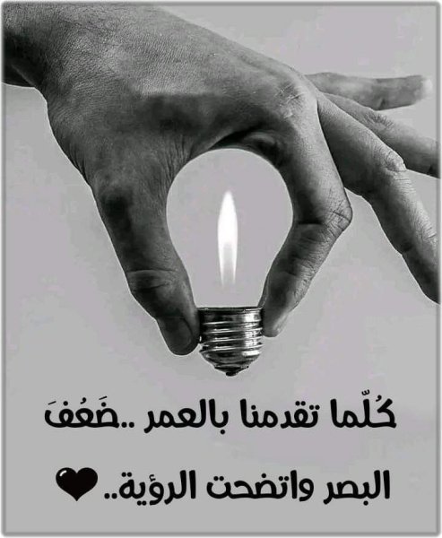 ed3b025714f08628772482a1cbf9297a.jpg