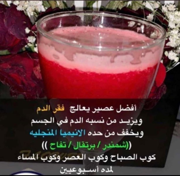 IMG_3528.jpeg