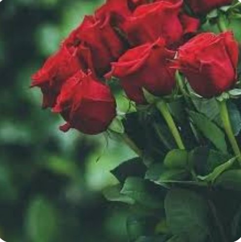 ٢٠٢٣٠٤٢٧_٢٢١٣٥٥.jpg
