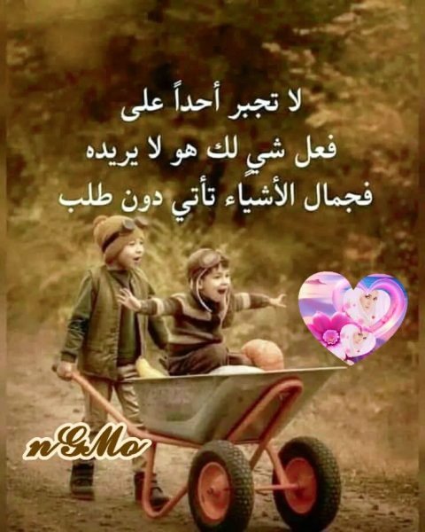 FB_IMG_1744108079290.jpg