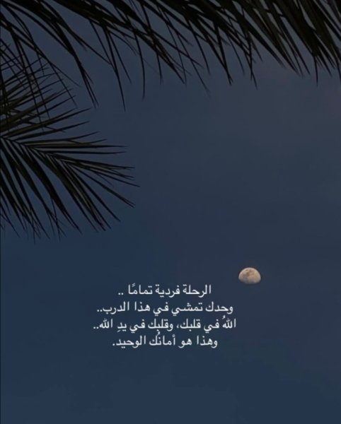 Screenshot_٢٠٢٥٠٤١٤_٠٠٠٣١١.jpg