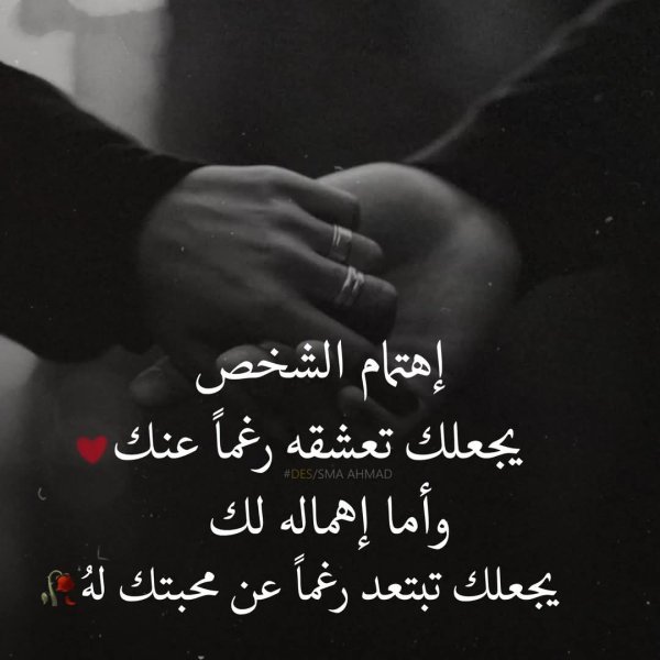 FB_IMG_1744634754014.jpg