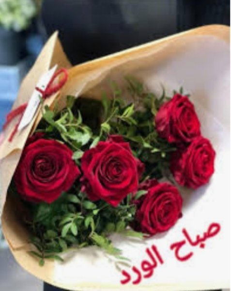 ٢٠٢١٠٨١٥_٠٨٥٢٣٧.jpg