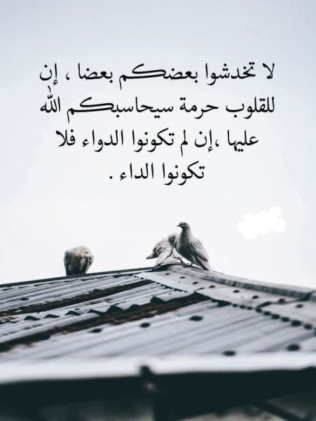 FB_IMG_1744647801156.jpg