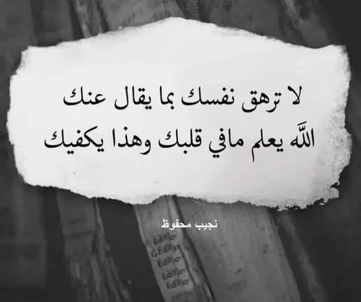FB_IMG_1744970878503.jpg