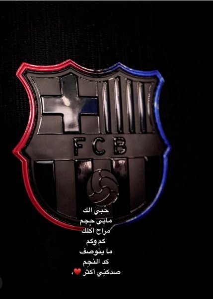 Screenshot_٢٠٢٥٠٤٢٠_١٤١٢١٩.jpg
