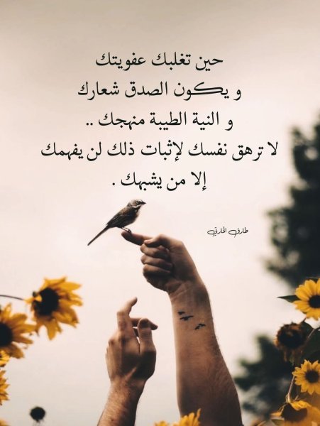 FB_IMG_1745141809223.jpg