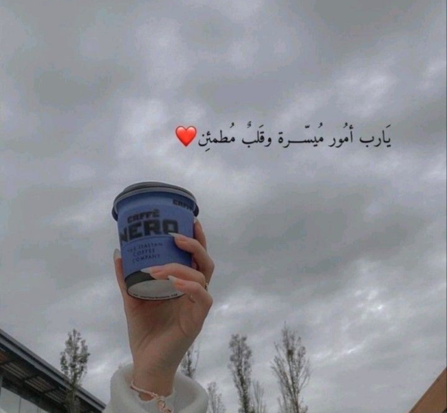 1745185286504.png