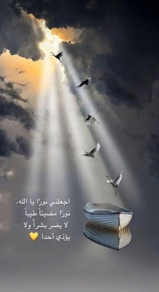 1745185318905.png
