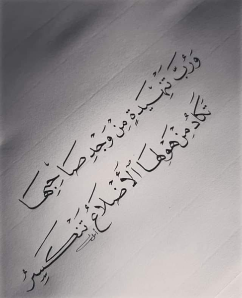 1745195120715.png
