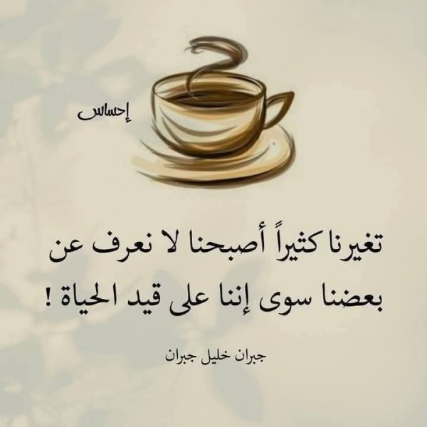 FB_IMG_1745265183034.jpg