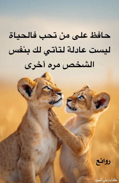 FB_IMG_1745190011921.jpg
