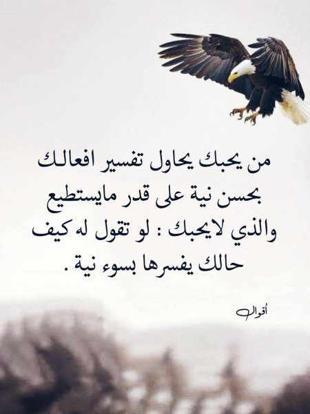 FB_IMG_1745164781131.jpg