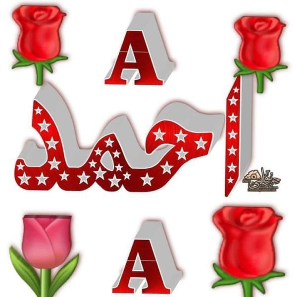 FB_IMG_1703686357004.jpg