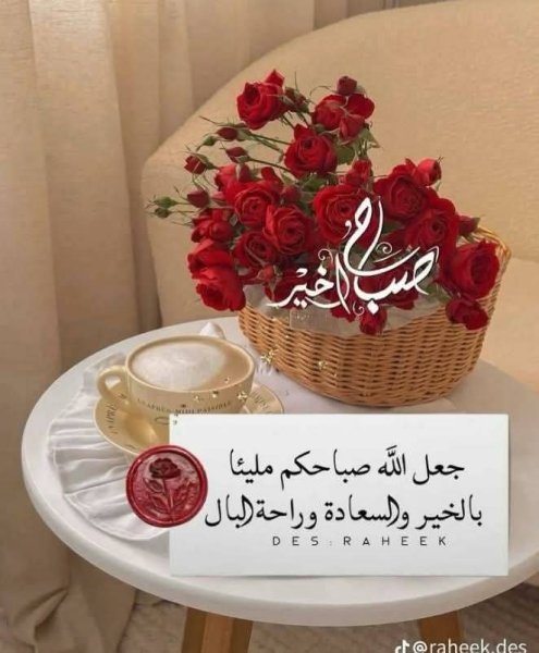 FB_IMG_1746091083174.jpg