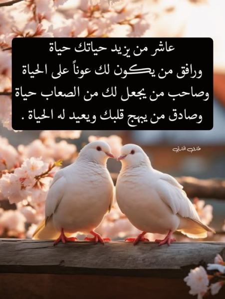 1746139143960.png