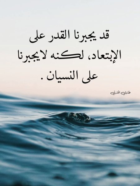 FB_IMG_1745042036006.jpg