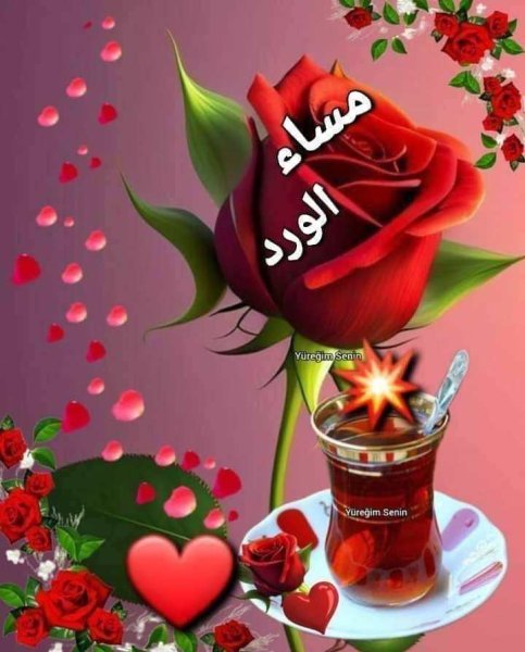 received_1452396265355664.jpeg