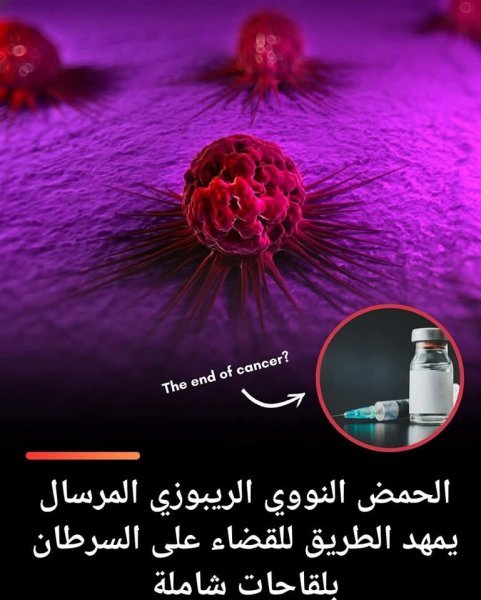 FB_IMG_1746595032699.jpg FB_IMG_1746595032699.jpg