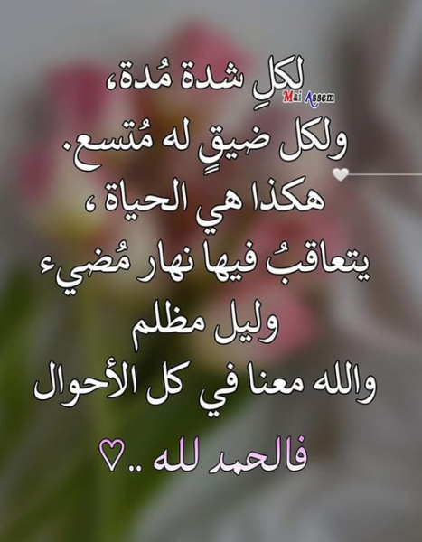 1747071373287.png