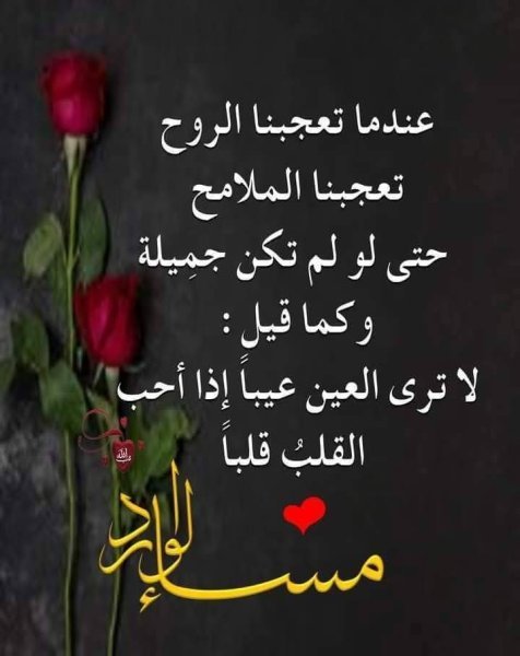 FB_IMG_1747155643948.jpg