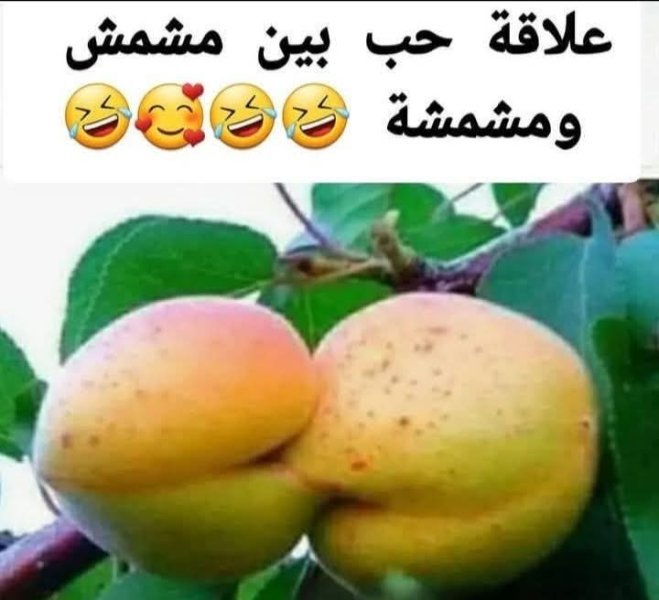 FB_IMG_1747220269863.jpg