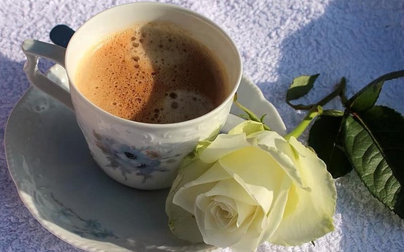 coffee-cup-cup-coffee-saucer-good-morning-white-rose-sunshine-outdoor-terrace.jpg