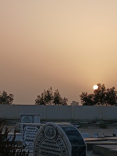 ٢٠٢٥٠٥١٦_١٨٠٢١١.jpg