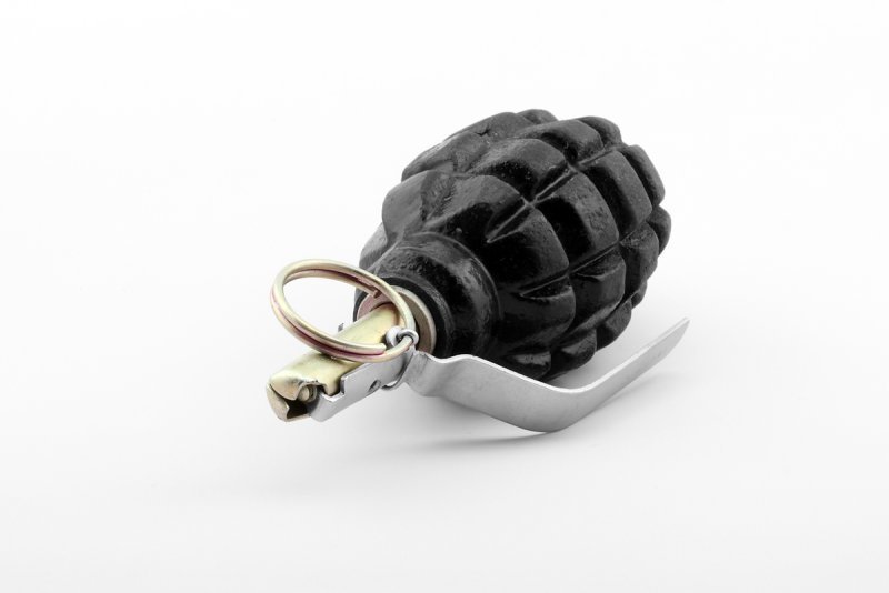 F1_grenade_travmatik_com_02_by-sa (1).jpg