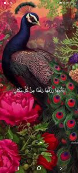 Screenshot_٢٠٢٥٠٥٢٧-٢٠٣٩٥٨_One UI Home.jpg