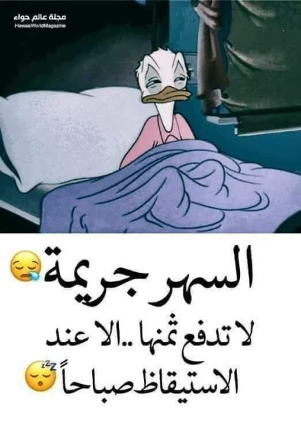 FB_IMG_1724972336345.jpg