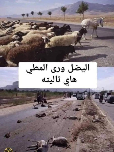 FB_IMG_1748784388203.jpg