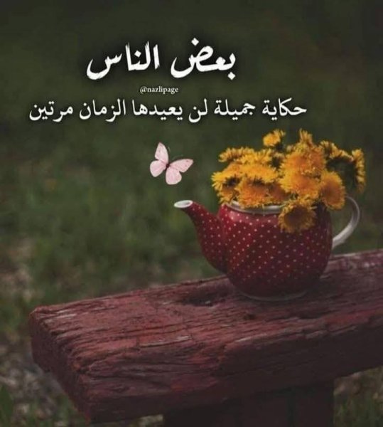 FB_IMG_1747526963612.jpg