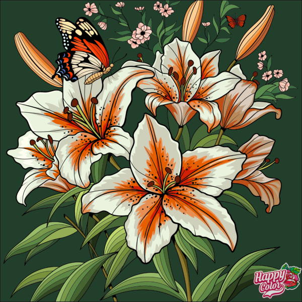 HappyColor_56657.png