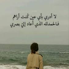 1749073113474.png