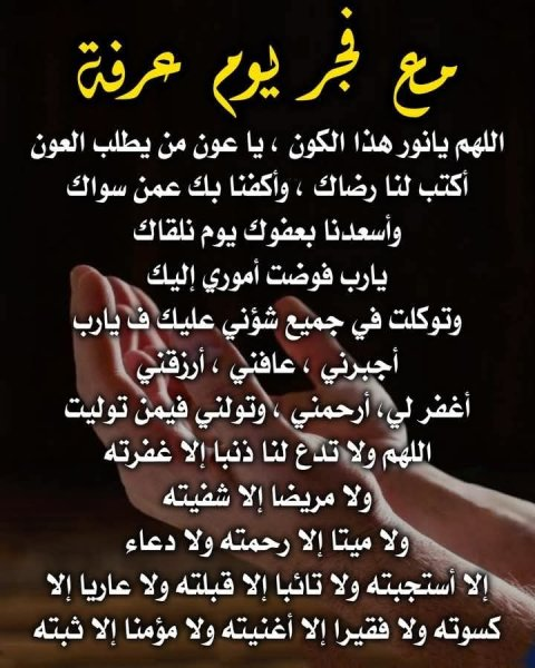 1749161205774.png