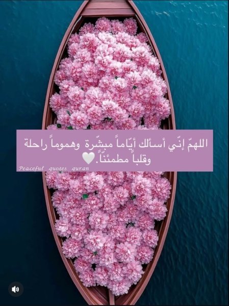 Screenshot_٢٠٢٥٠٦٠٢_٢٠٠٦٢٣_Instagram.jpg