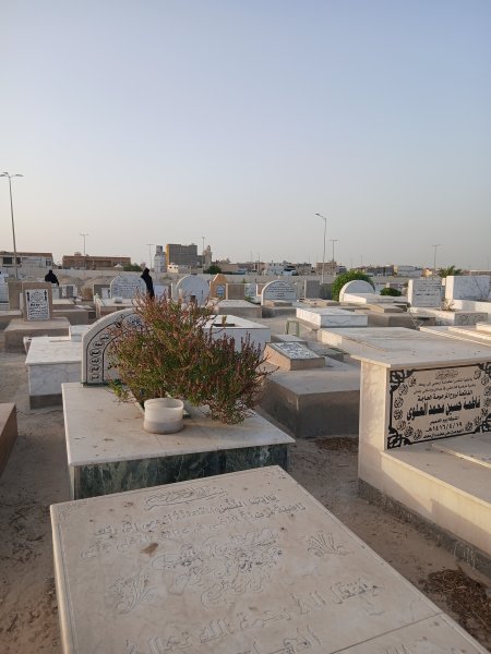 ٢٠٢٥٠٦٠٦_١٧٤٨٣٢.jpg