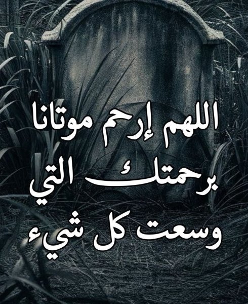 FB_IMG_1749348369948.jpg