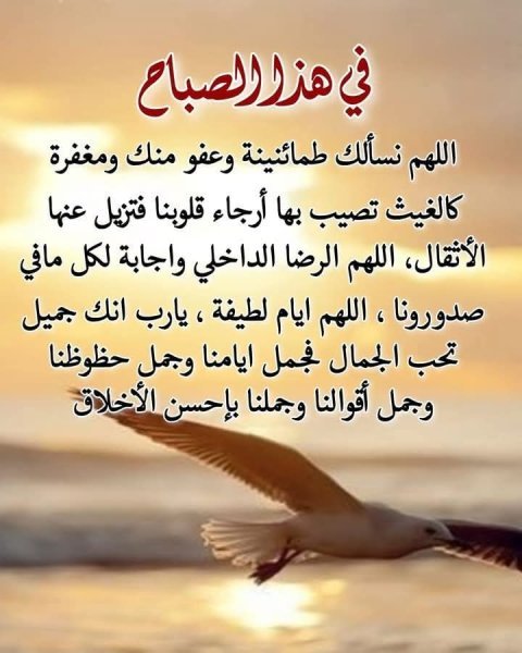 FB_IMG_1749348345117.jpg
