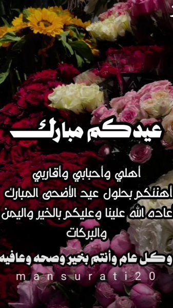 5575325a-821c-411f-8dbf-cfe9e5abcb94.jpeg