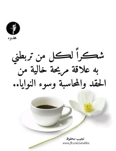 IMG_٢٠٢٥٠٦١١_٠٩٢٣٥٣.jpg