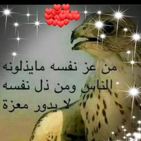FB_IMG_1749351051892.jpg
