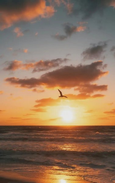 Screenshot_٢٠٢٥-٠٦-١٤-٢١-٤٨-٥٨-٢٣٦_lockscreen.jpg