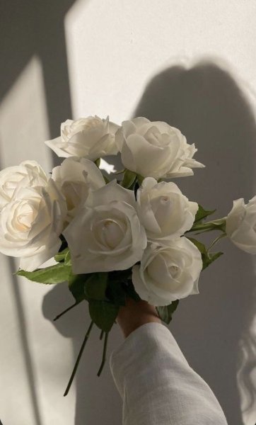 ٢٠٢٤٠٩٢٥_٠٥٥٤٣٢ (1).jpg
